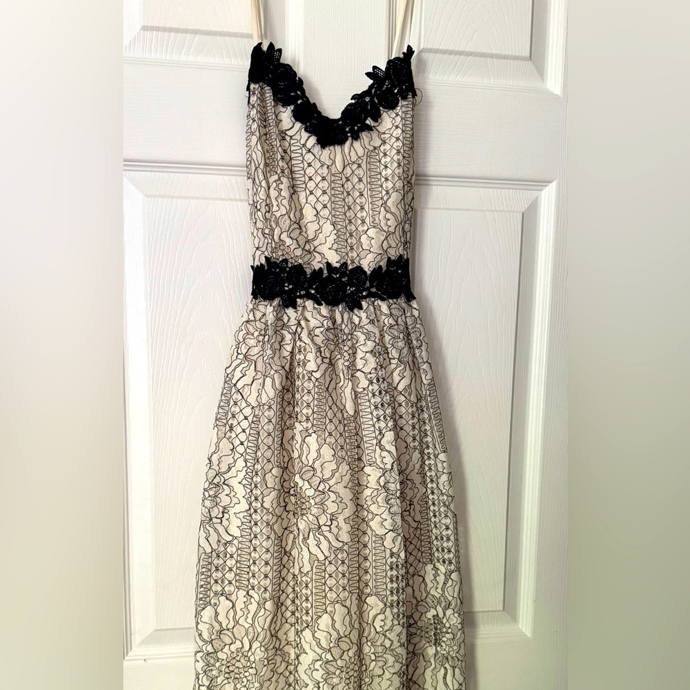 Elegant Black and Cream Lace Dress